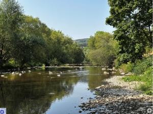 Derzeit führt unter anderem die Wiese extrem wenig Wasser. (Aufnahme vom 30. Juli)