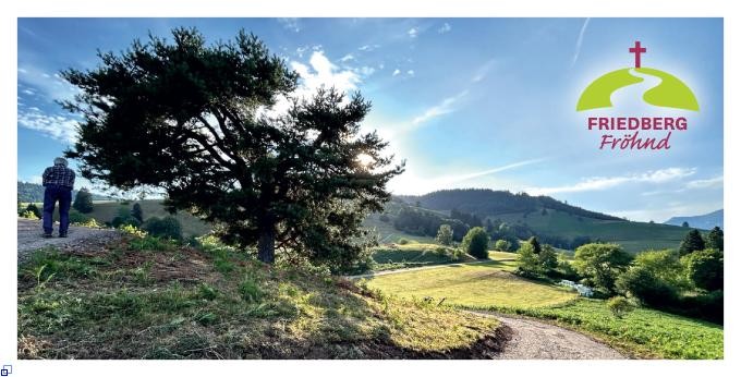 Bild zeigt den Friedberg mit einem Baum und Wiese mit blick auf die gegenüberlegenden Berge